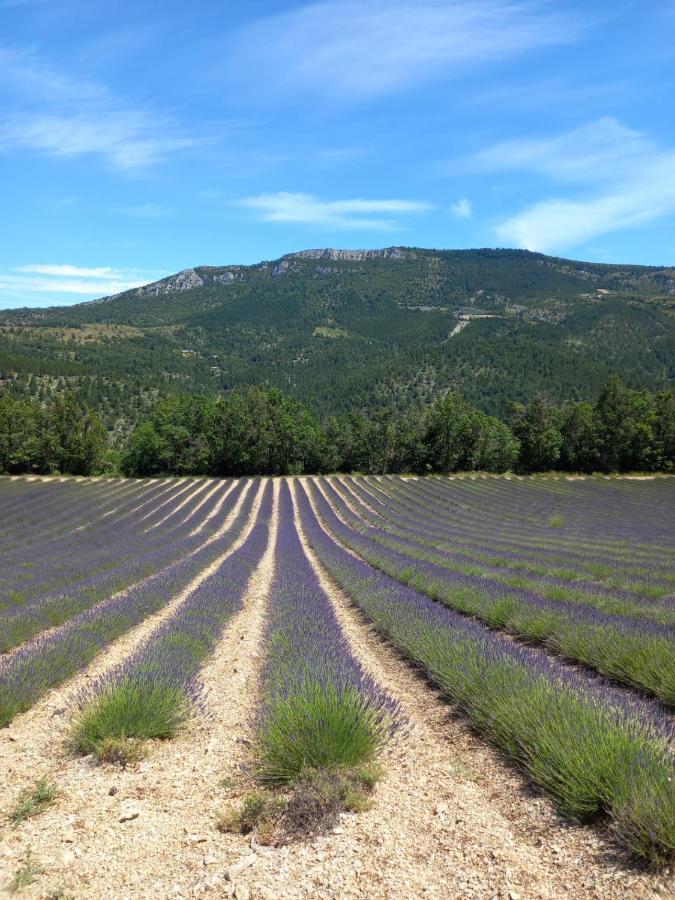 La Plume Du Ventoux Suite 305 Mollans-sur-Ouveze Экстерьер фото